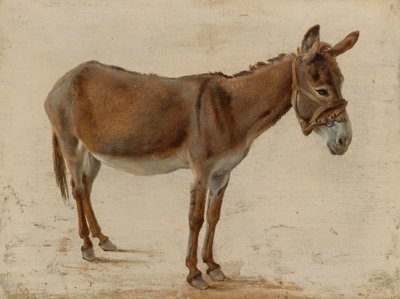 Een ezel door Jacques Laurent Agasse
